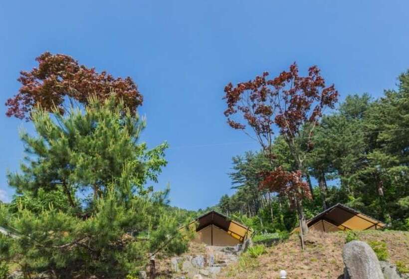Pensão Gapyeong Captain Caravan And Glamping