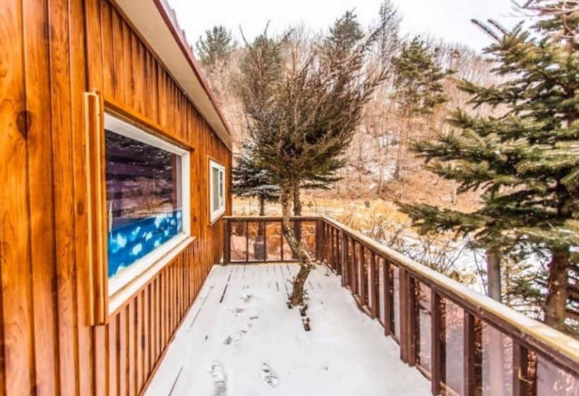 Pyeongchang Stars Of The Forest Pension