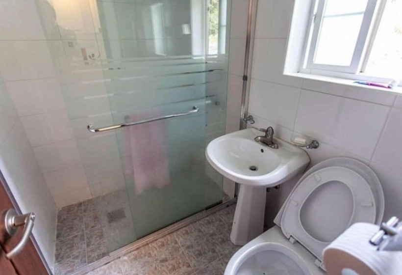 Pyeongchang Stars Of The Forest Pension