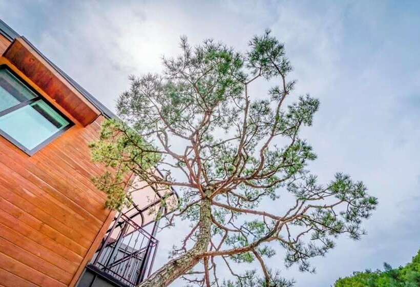 Yangpyeong Galgisan Forest Hill Pension