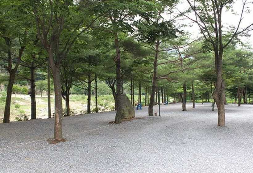 Youngwol Sky Pension Camping