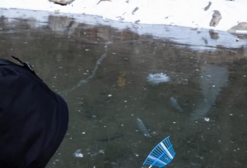 Gapyeong White House Valley Pension