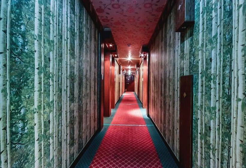 汽车旅馆  Jangseong Hotel New Napori