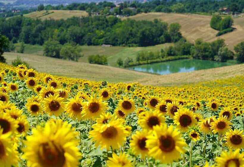 مبيت وإفطار Agriturismo Il Sarale   Umbria