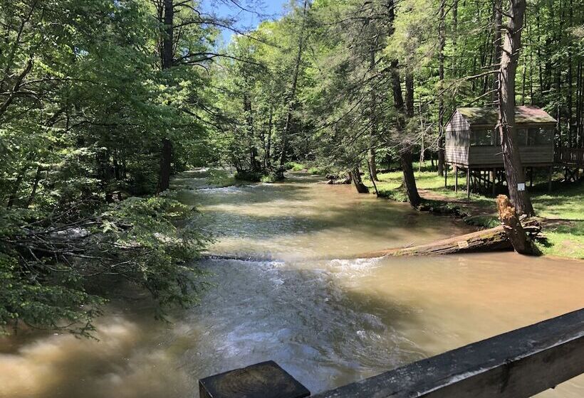 Elk Springs Resort