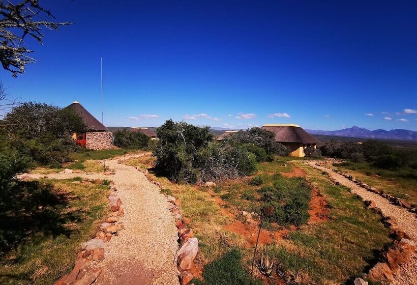 בית מלון כפרי Blaauwbosch Private Game Reserve