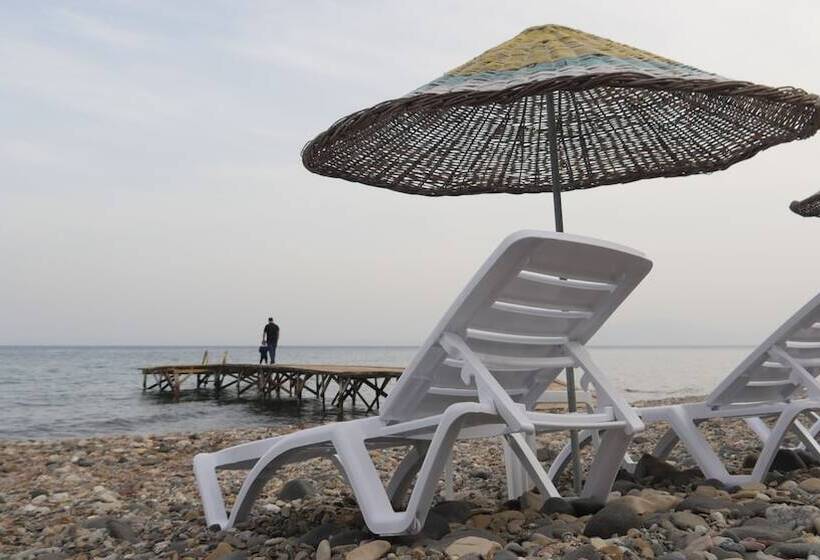 ホテル Concept Bungalow