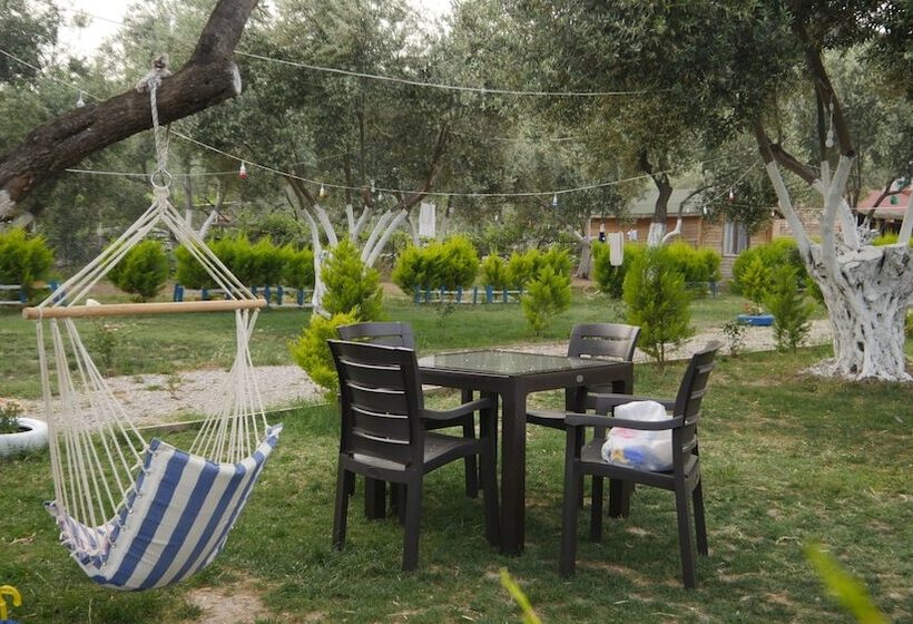 ホテル Concept Bungalow