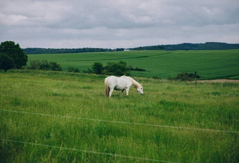 ホテル Fetz   Das Loreley