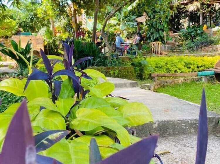 هتل Hostal Doña Consuelo