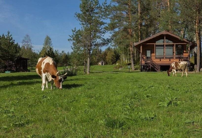 בית מלון כפרי Hutor Jarvi