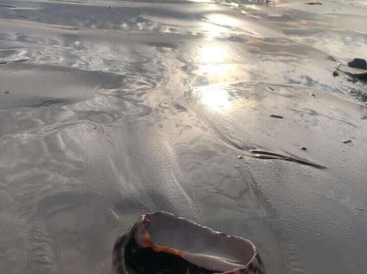 فندق Kilimani Kwetu Beach