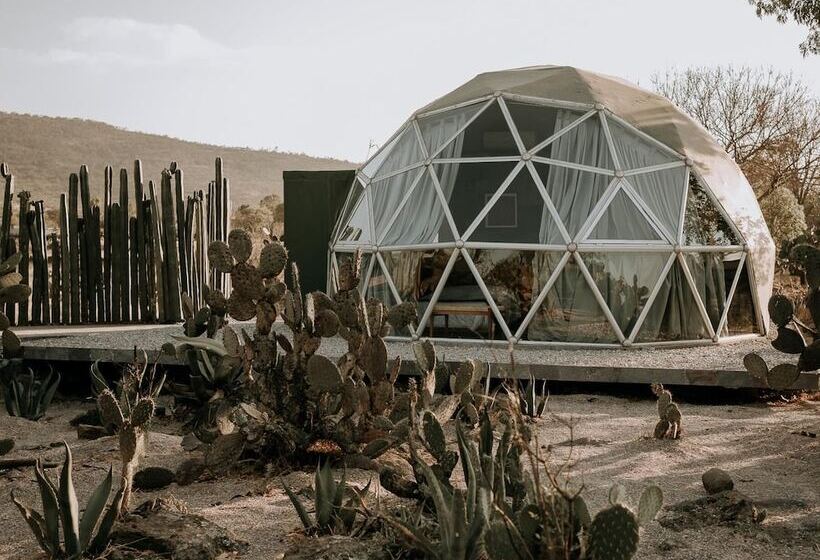 فندق Raices Glamping
