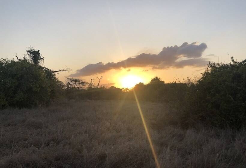 酒店 Saadani Safari Lodge   Bush, River, Beach