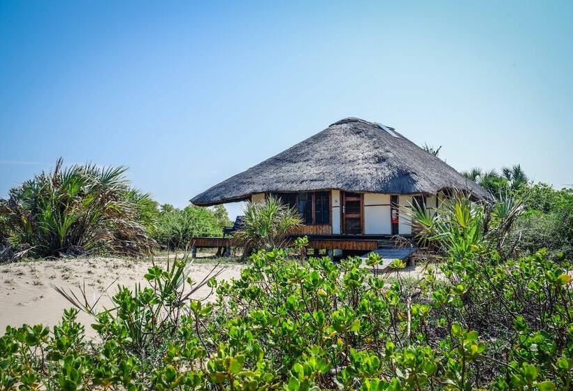 酒店 Saadani Safari Lodge   Bush, River, Beach