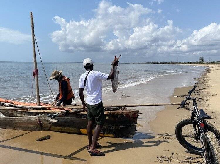 酒店 Saadani Safari Lodge   Bush, River, Beach