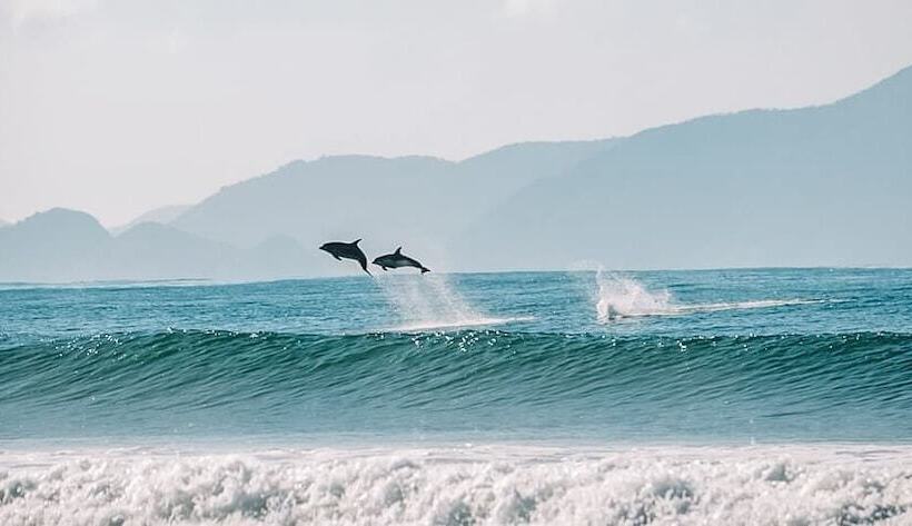 بنسيون Aotearoa Surf Eco Pods