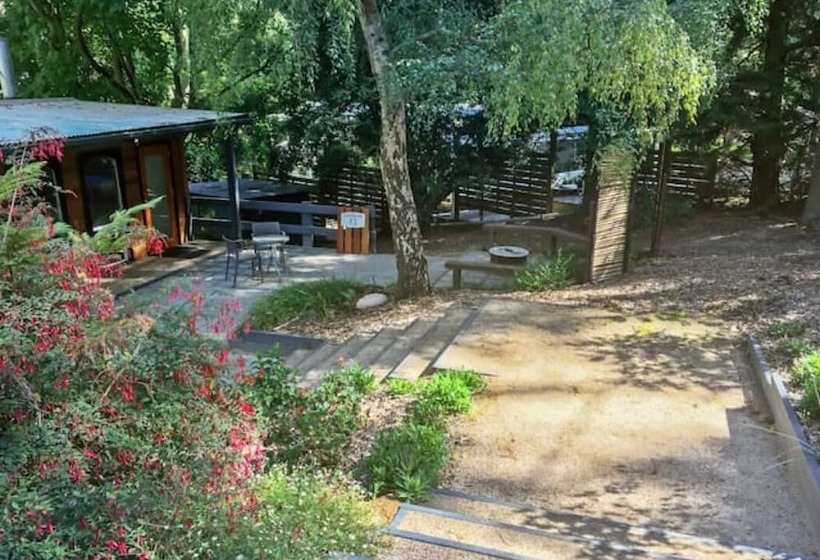 פנסיון Bluefin Tuna Fishermen Whale Watching