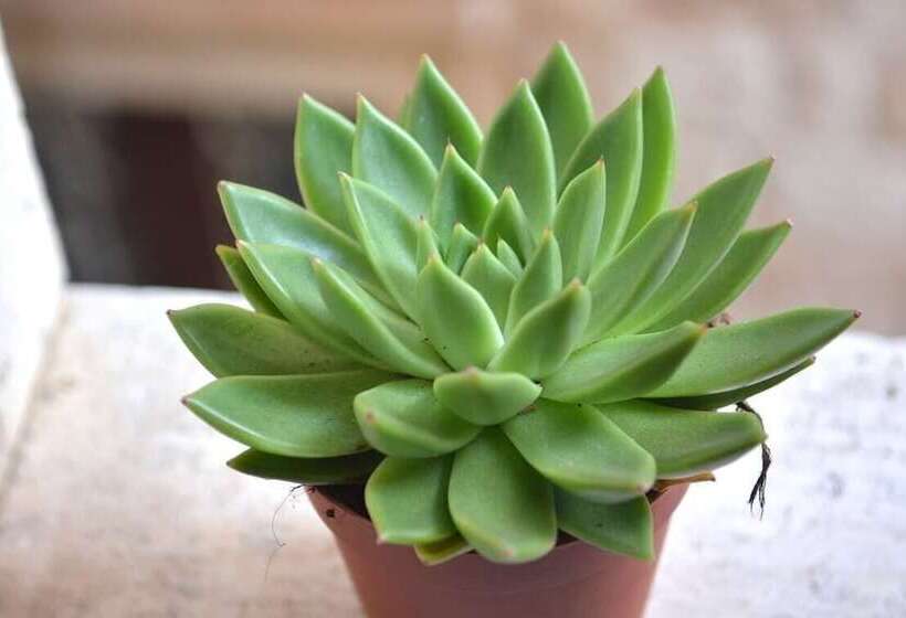 ペンション Studio In