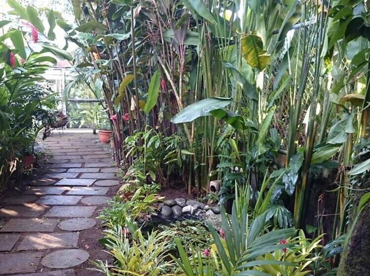 פנסיון Tortuguero Adventures Guesthouse