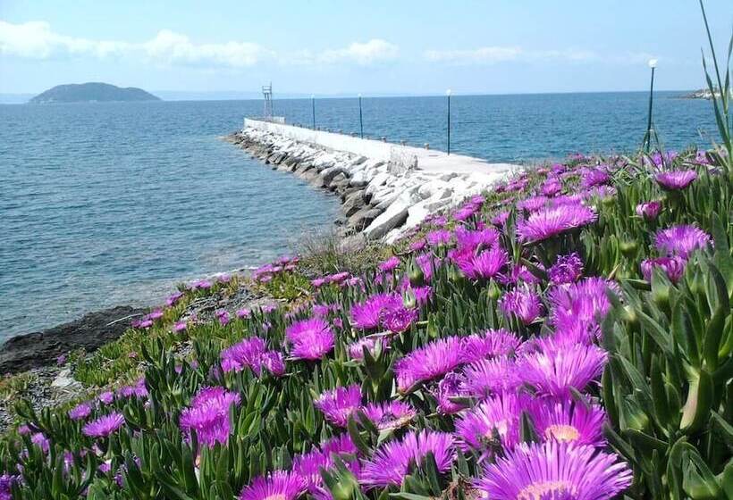 پانسیون Welcome To Hotel Petunia, In Neos Marmaras,xalkidiki ,greece, Triple Room 4