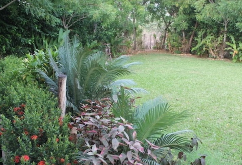 Shalom   Hostel