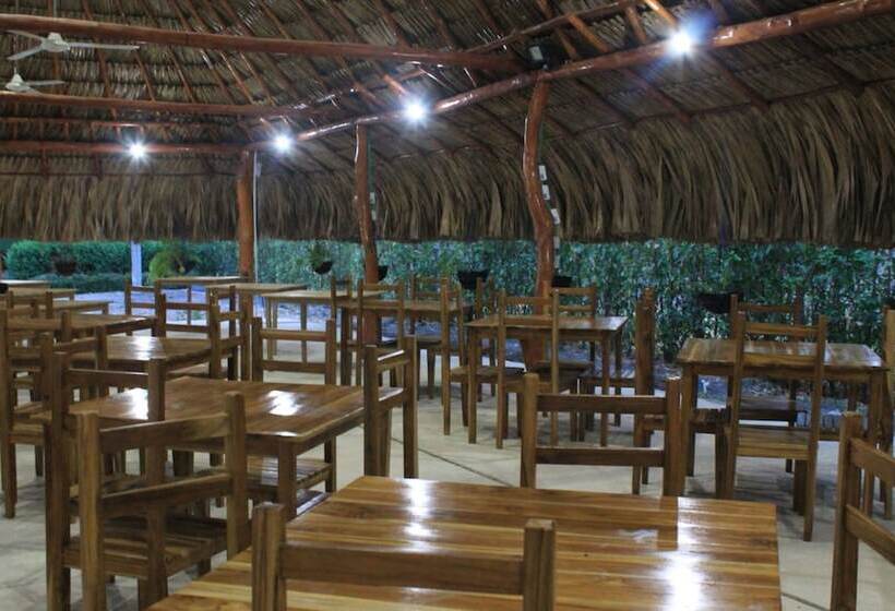 Shalom   Hostel