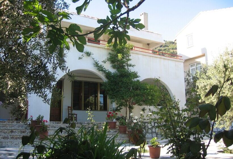 مبيت وإفطار Ada Art Guesthouse