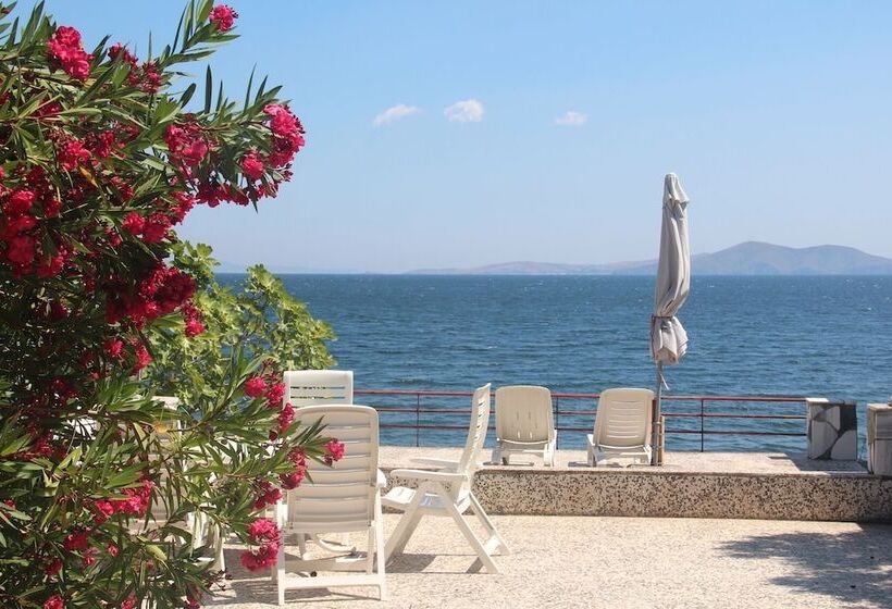 مبيت وإفطار Ada Art Guesthouse