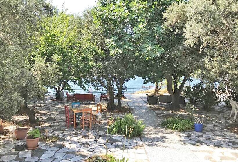 مبيت وإفطار Ada Art Guesthouse
