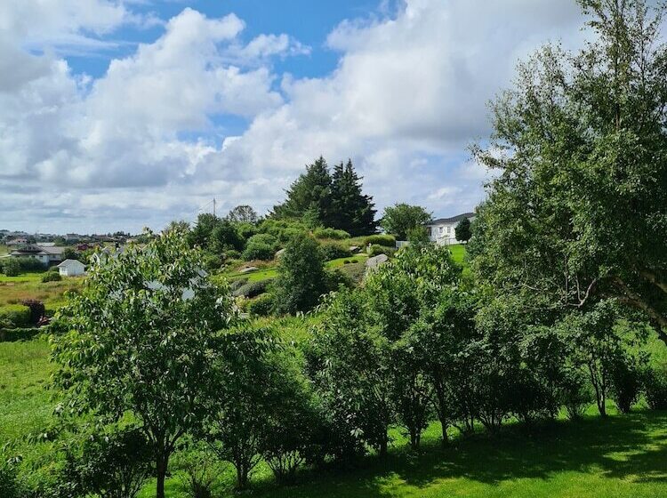 مبيت وإفطار Dugneberg