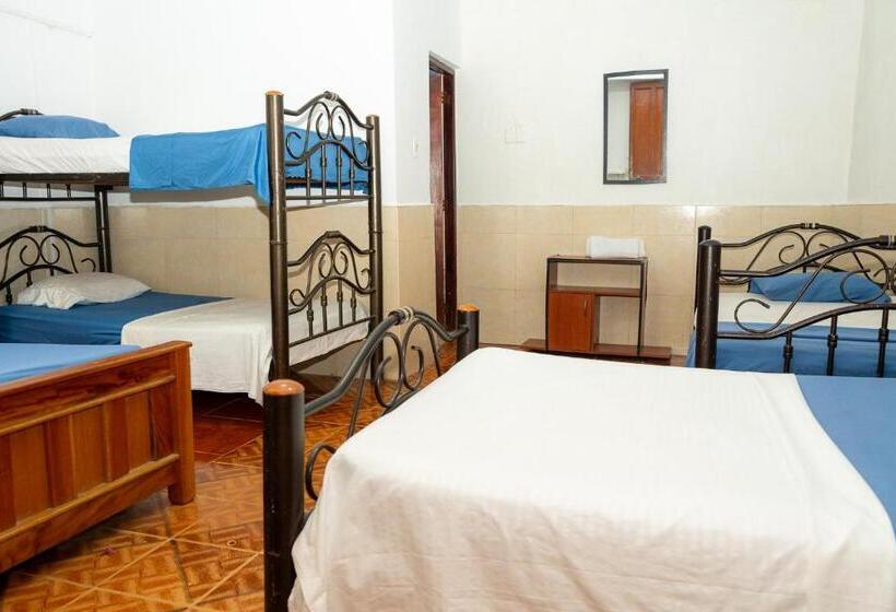 هاستل Maranatha Hostal