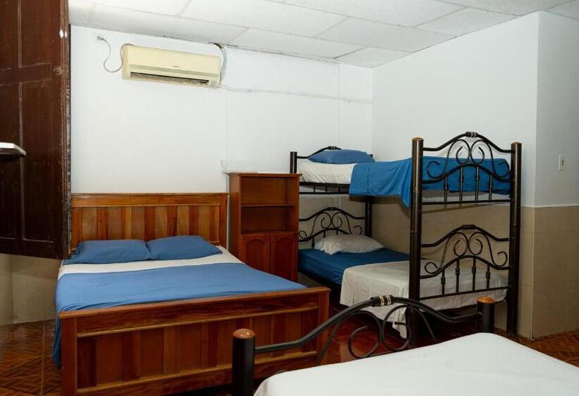 هاستل Maranatha Hostal