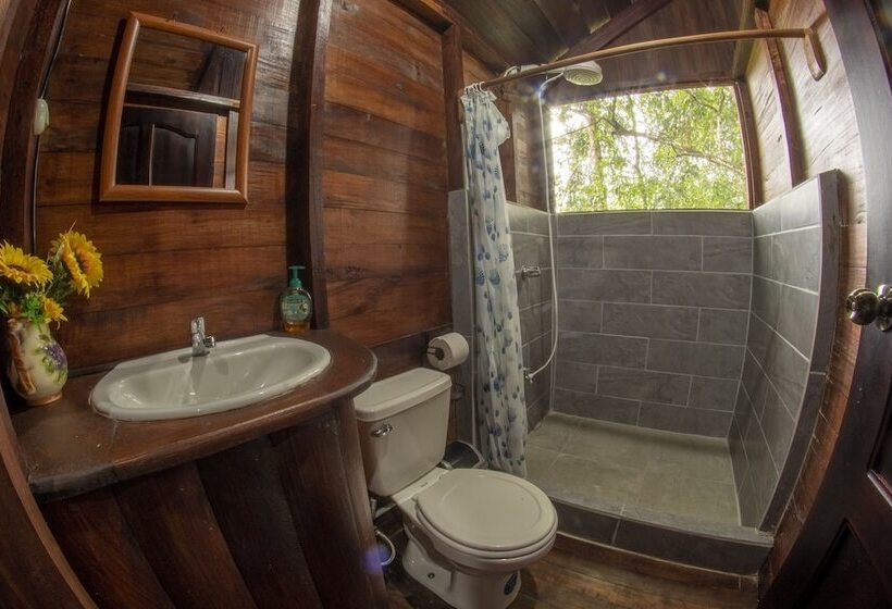 Отель Arenal Rustic Lodge