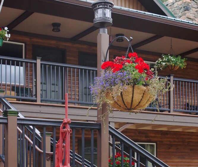 فندق Bailey Lodge