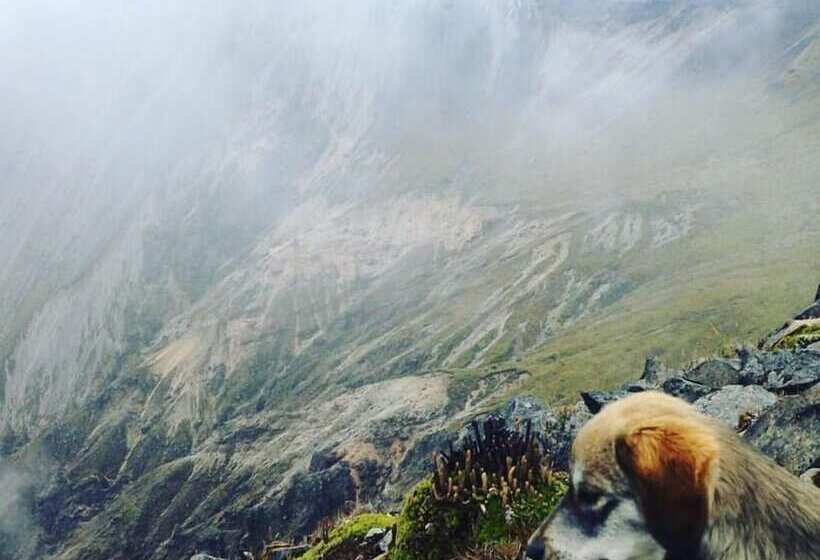 هتل Hostal Casa Aida