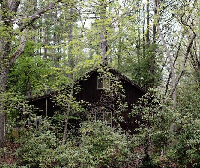 ホテル Magnolia Streamside Resort