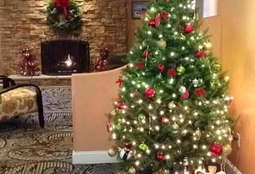 مُتل Golden Apple Inn