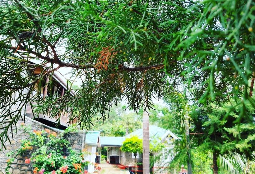 ペンション Kallycave Eco Lodge