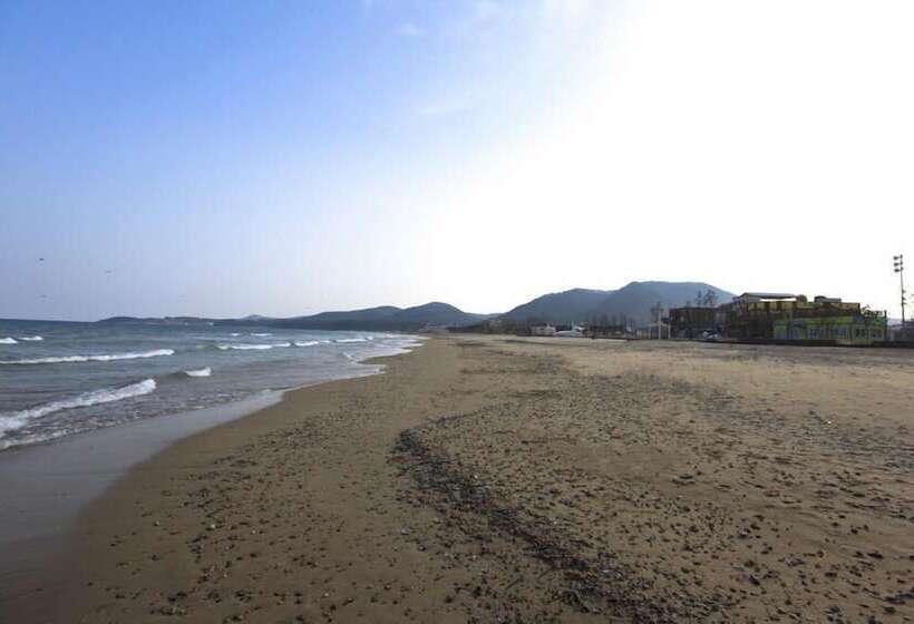 بنسيون Pohang Sunrise