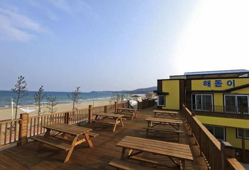 بنسيون Pohang Sunrise
