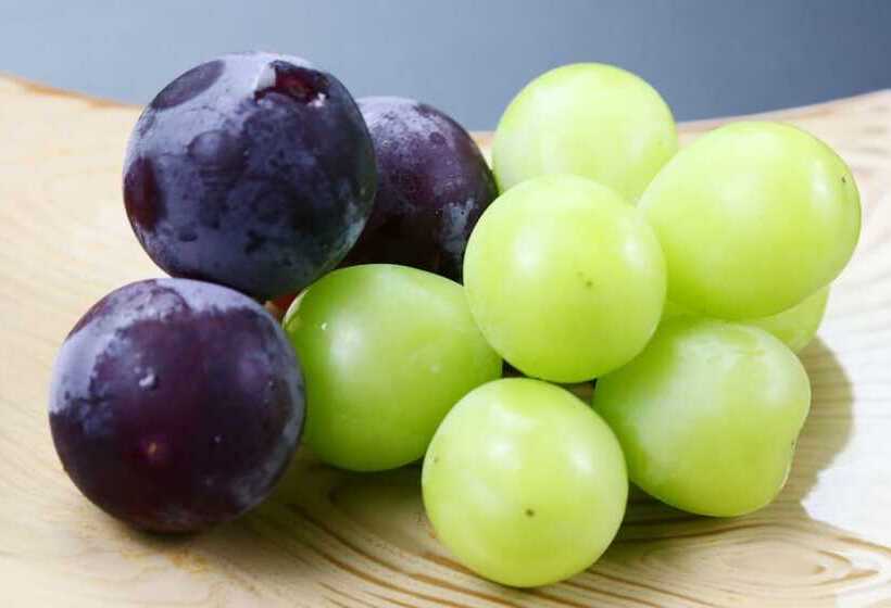 ريوكان Natoriya