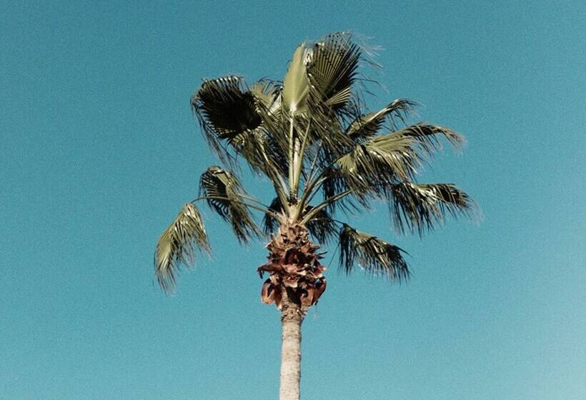 Villa In Encore Resort At Reunion 3458