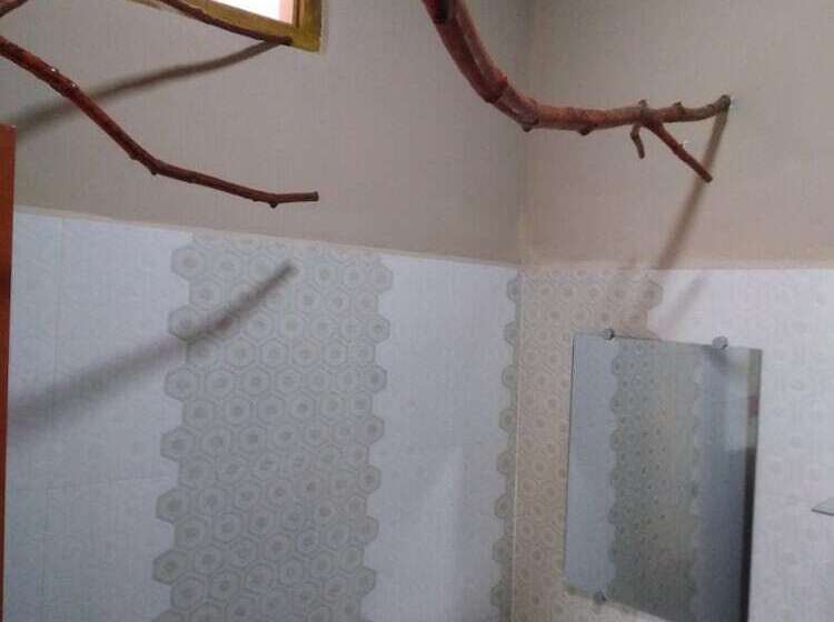 Aurora Villa   Hostel