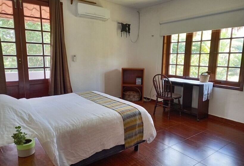 مبيت وإفطار Casa Viva Mérida