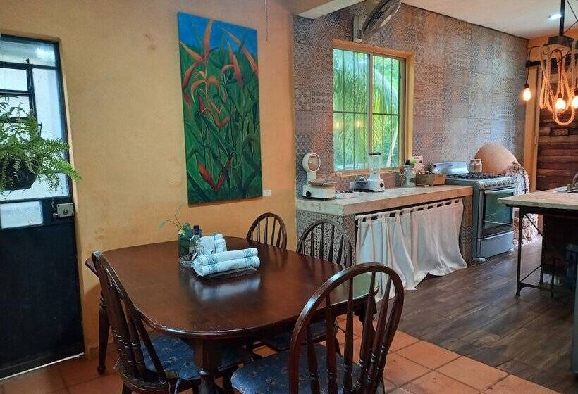 مبيت وإفطار Casa Viva Mérida