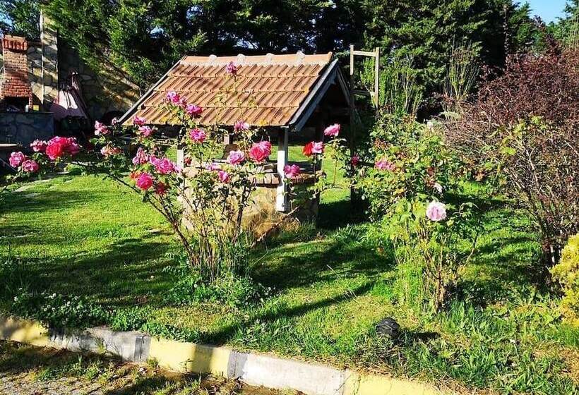 مبيت وإفطار Haznedar Bungalow