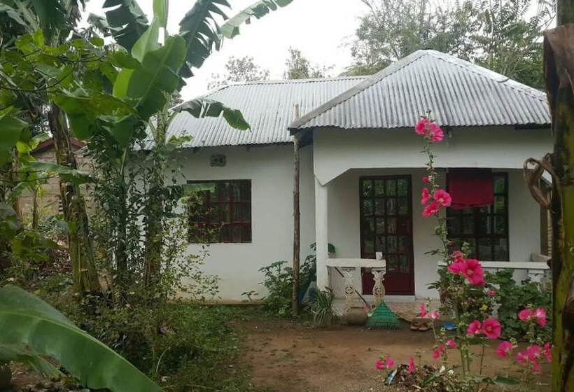 تختخواب و صبحانه The Maasai Homestay & Safaris