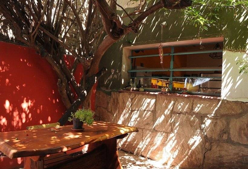 Hostel Jaracanda