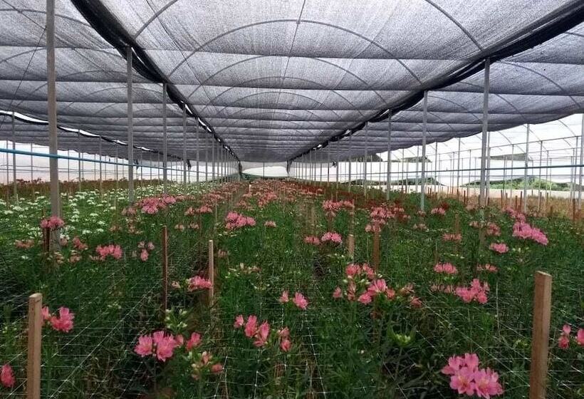 ホテル Pousada Das Flores